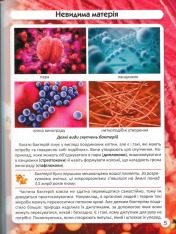 Книга Світ навколо нас. Бактерії. Фото 12