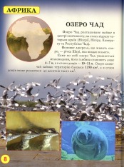 Книга Світ навколо нас. Дива природи. Фото 6