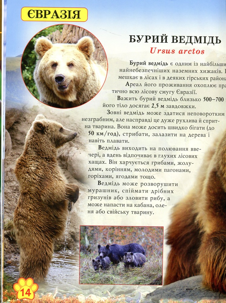 Книга Світ навколо нас. Дикі тварини. Фото 10