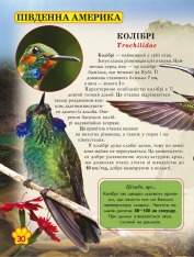 Книга Світ навколо нас. Дикі тварини. Фото 11