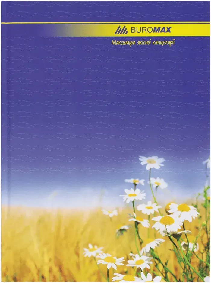Книга канцелярська Buromax Classic А4 96 аркушів в лінію асорті дизайнів BM.2401. Фото 2