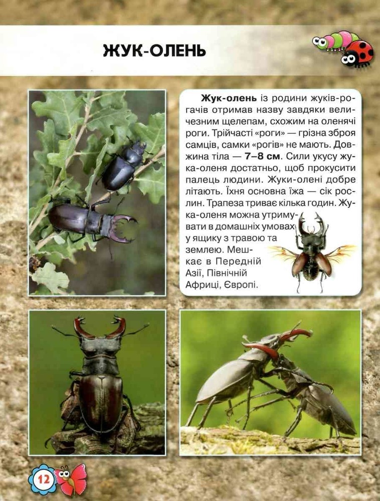 Книга Світ навколо нас. Комахи. Фото 4