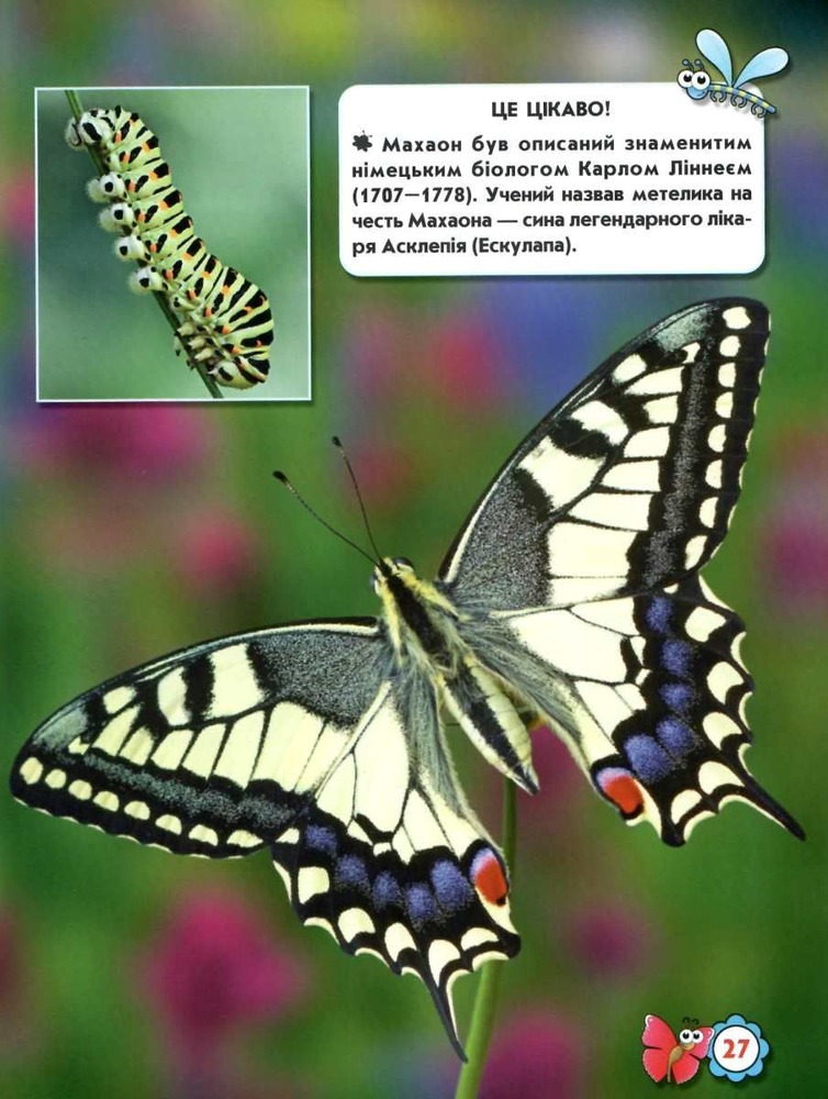 Книга Світ навколо нас. Комахи. Фото 7