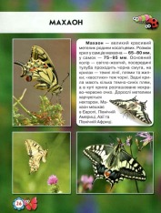 Книга Світ навколо нас. Комахи. Фото 6