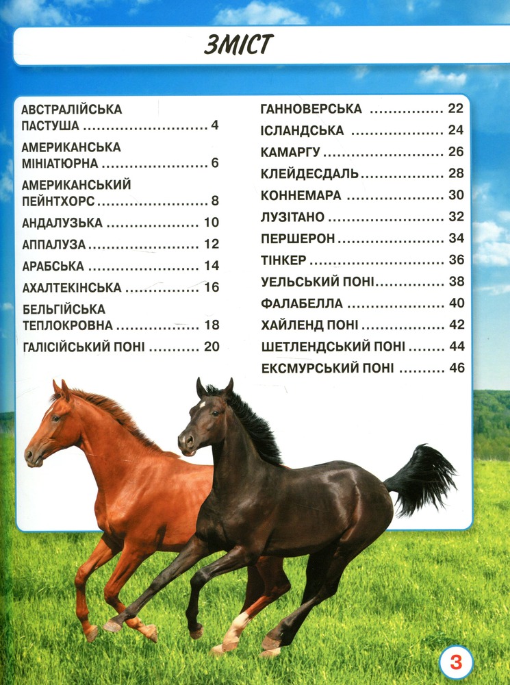 Книга Світ навколо нас. Коні. Фото 3