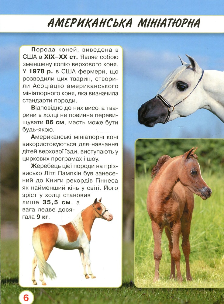 Книга Світ навколо нас. Коні. Фото 6