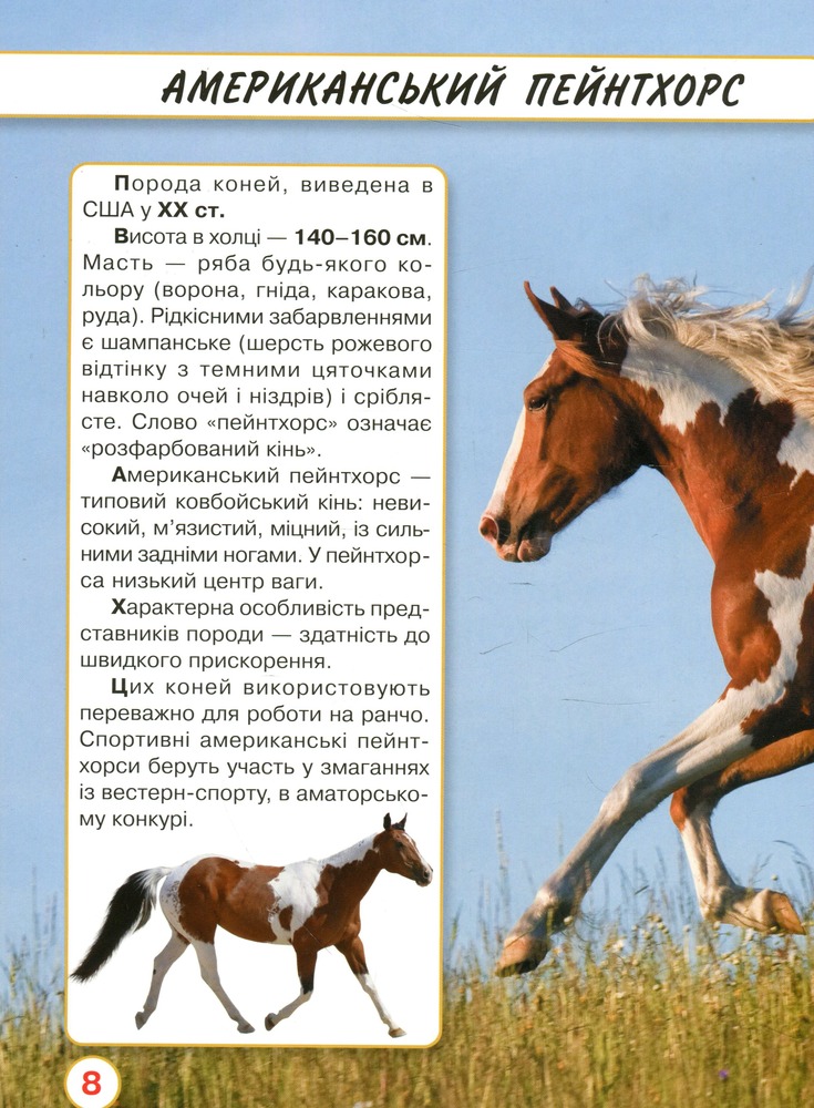 Книга Світ навколо нас. Коні. Фото 8