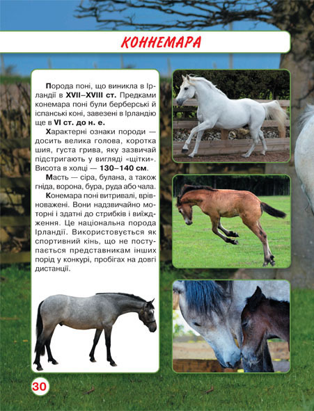 Книга Світ навколо нас. Коні. Фото 9