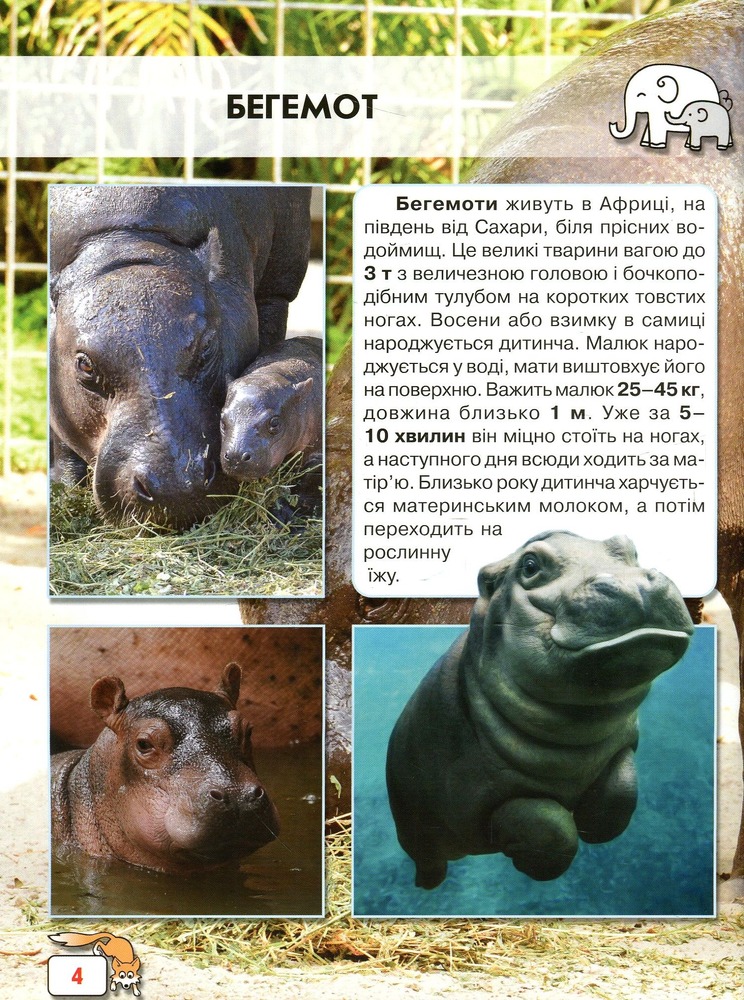Книга Світ навколо нас. Малята тварин. Фото 4