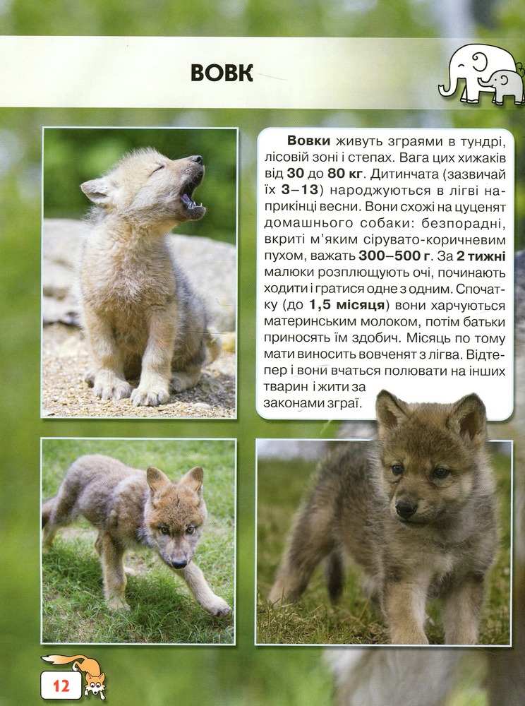 Книга Світ навколо нас. Малята тварин. Фото 8