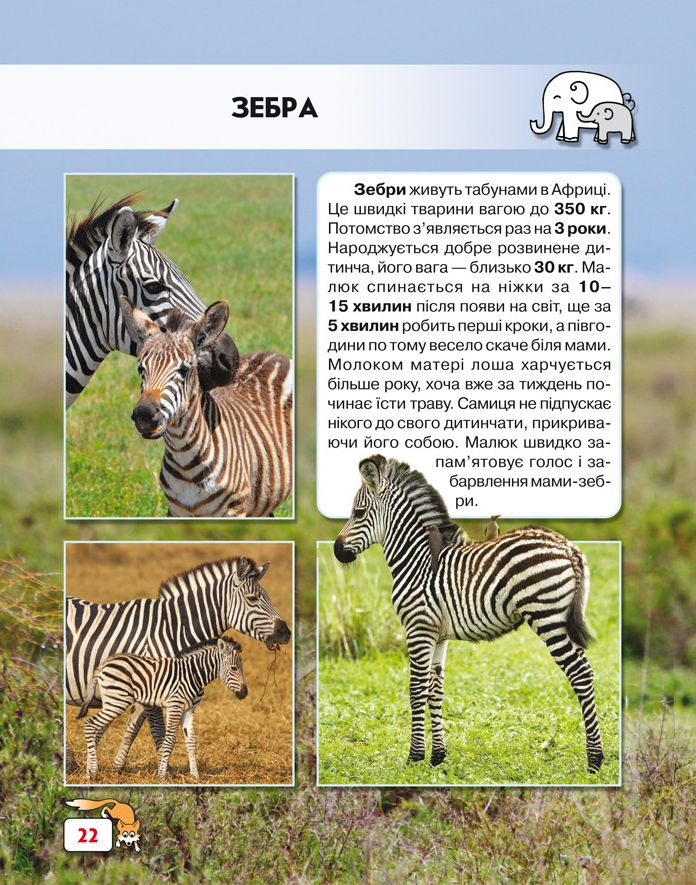 Книга Світ навколо нас. Малята тварин. Фото 9