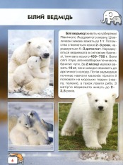 Книга Світ навколо нас. Малята тварин. Фото 5