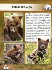 Книга Світ навколо нас. Малята тварин. Фото 7