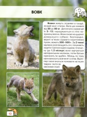 Книга Світ навколо нас. Малята тварин. Фото 8