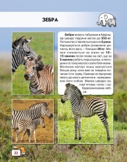 Книга Світ навколо нас. Малята тварин. Фото 9