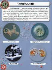 Книга Світ навколо нас. Мікросвіт. Фото 10