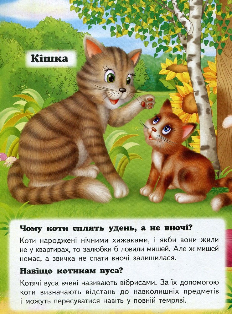 Книга Абетка Вертоліт. Фото 3
