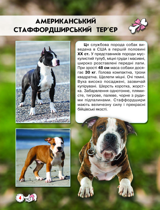 Книга Світ навколо нас. Собаки. Фото 4