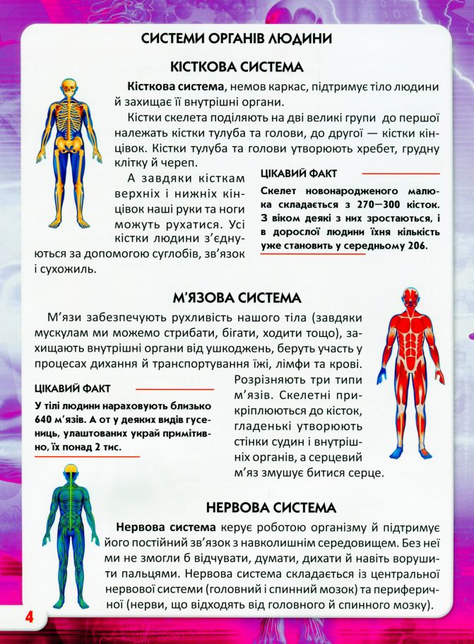 Книга Світ навколо нас. Тіло людини. Фото 3