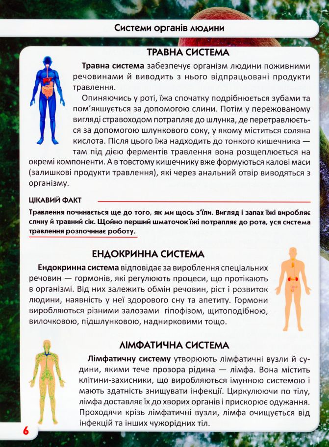 Книга Світ навколо нас. Тіло людини. Фото 5