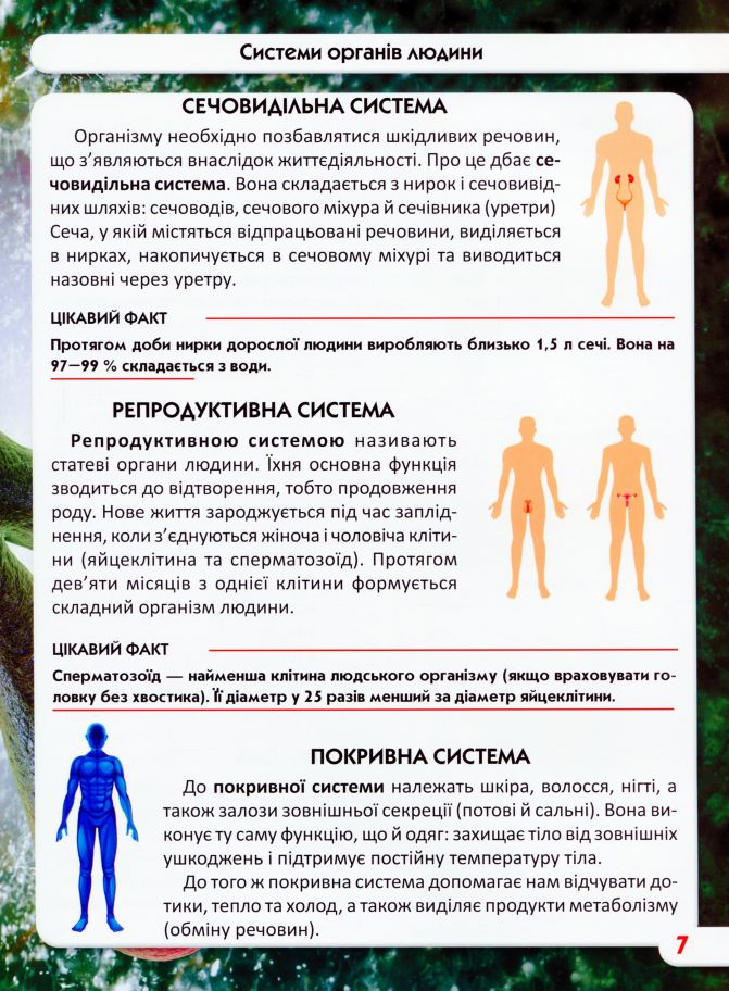 Книга Світ навколо нас. Тіло людини. Фото 6