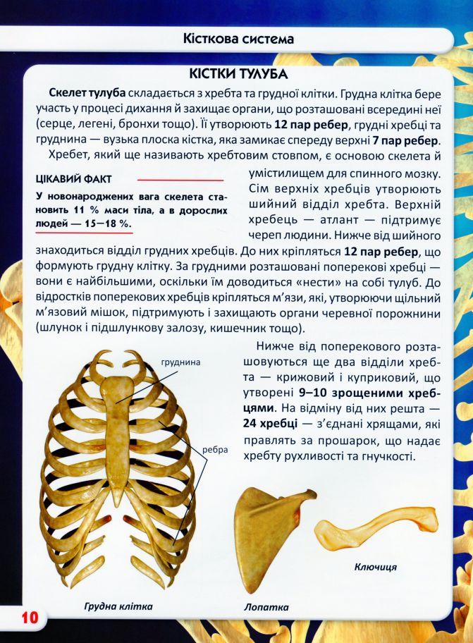 Книга Світ навколо нас. Тіло людини. Фото 9