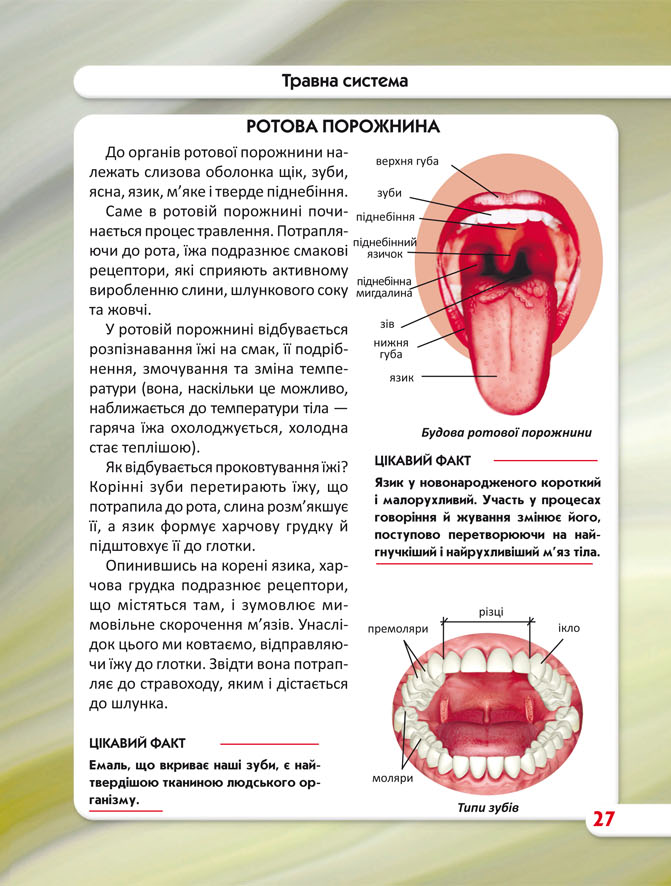 Книга Світ навколо нас. Тіло людини. Фото 12