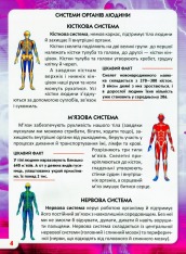 Книга Світ навколо нас. Тіло людини. Фото 3