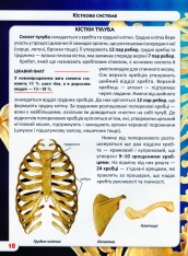 Книга Світ навколо нас. Тіло людини. Фото 9