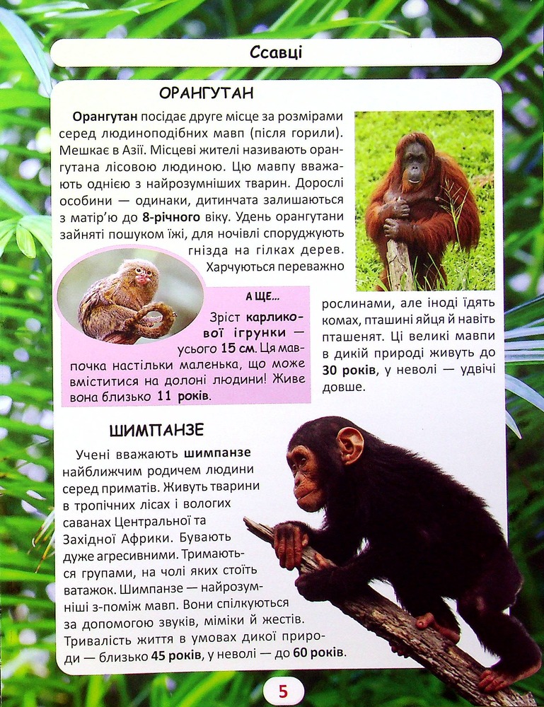Книга Світ навколо нас. Хто скільки живе. Фото 4