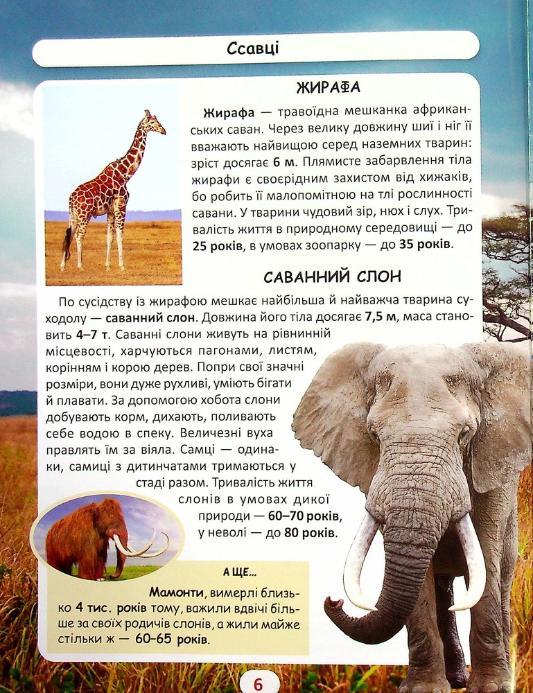 Книга Світ навколо нас. Хто скільки живе. Фото 5