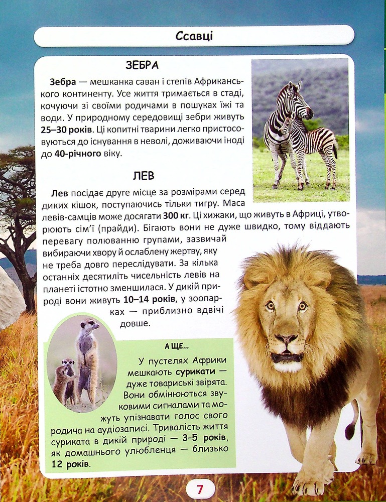 Книга Світ навколо нас. Хто скільки живе. Фото 6