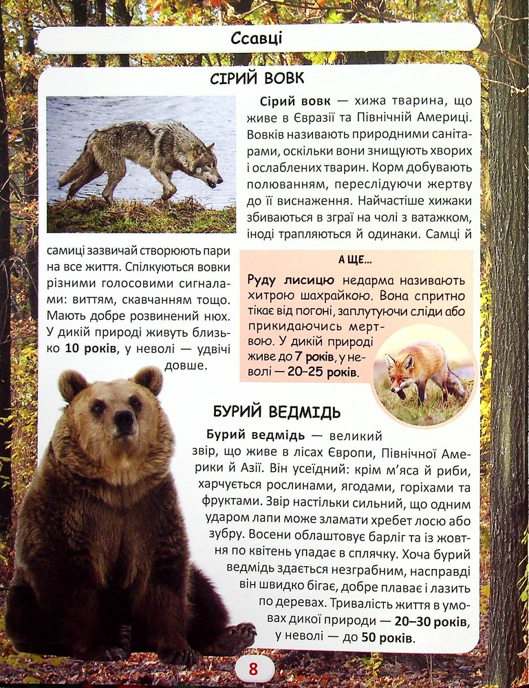 Книга Світ навколо нас. Хто скільки живе. Фото 7