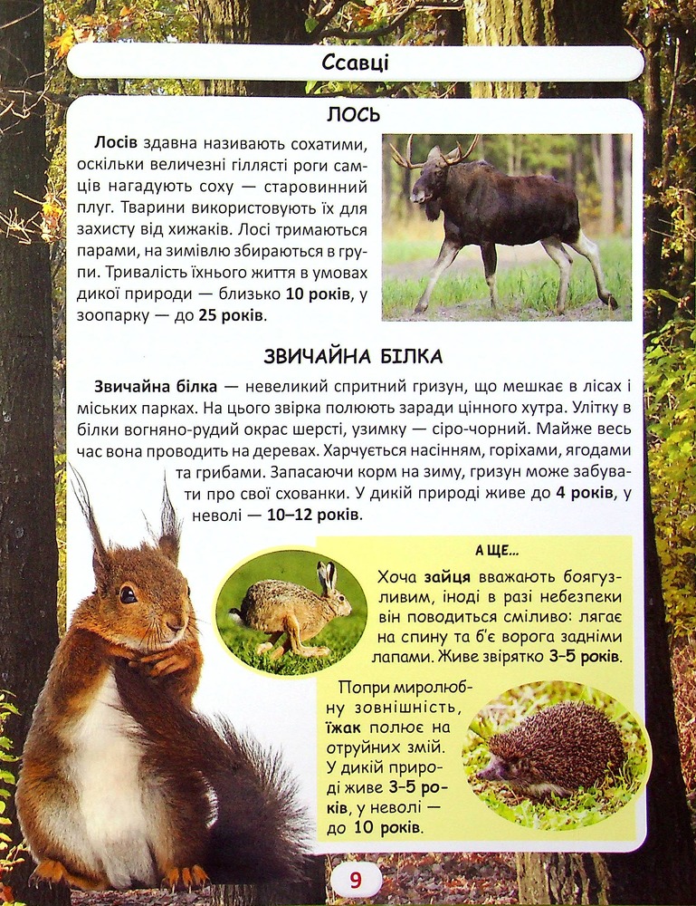 Книга Світ навколо нас. Хто скільки живе. Фото 8