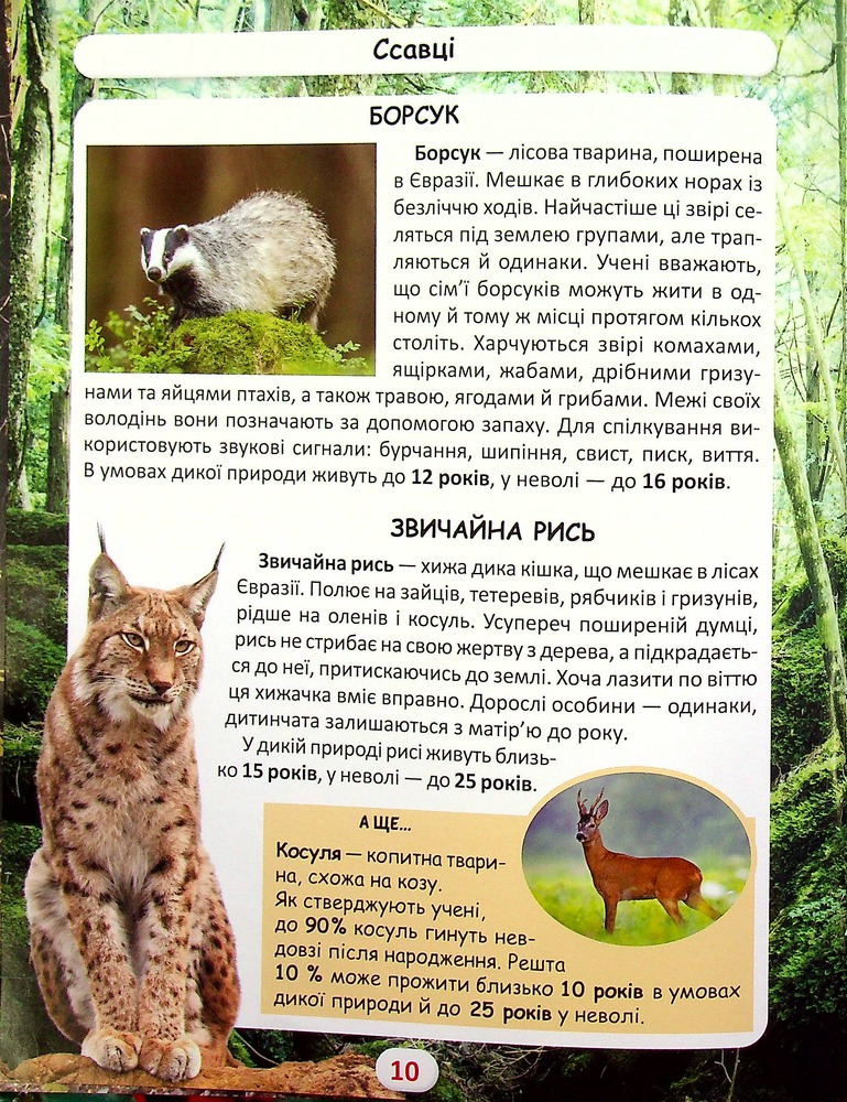 Книга Світ навколо нас. Хто скільки живе. Фото 9