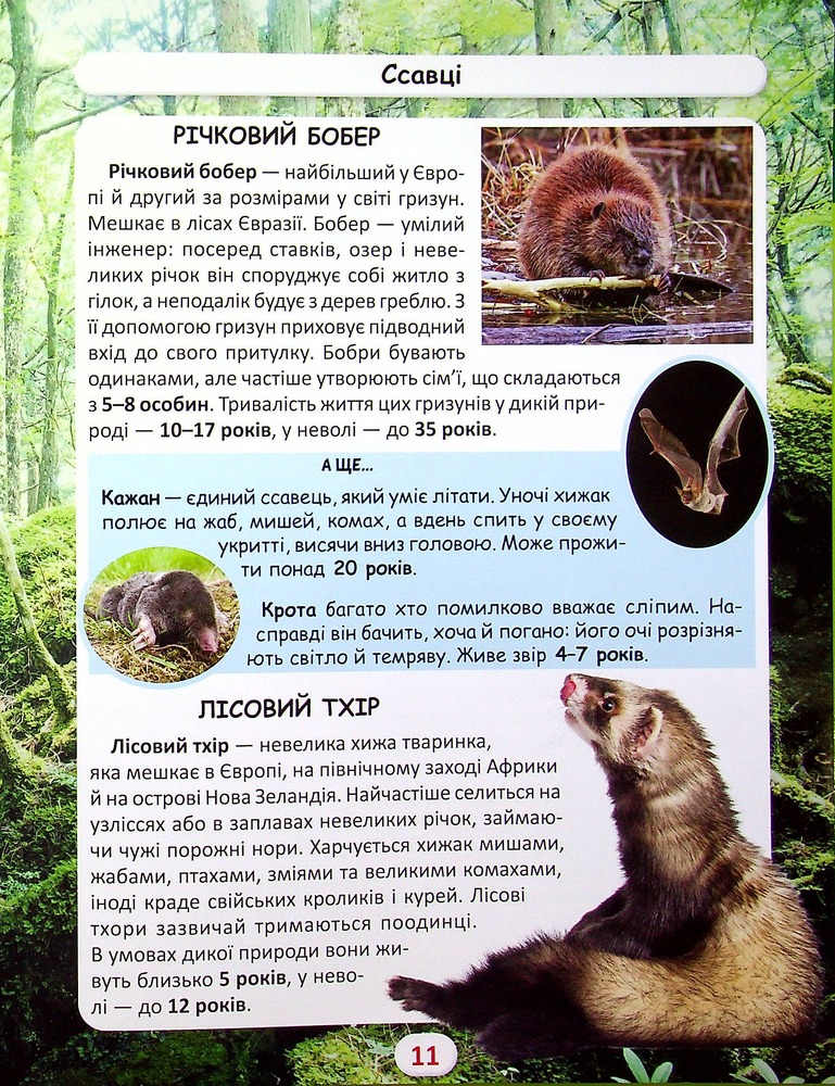 Книга Світ навколо нас. Хто скільки живе. Фото 10