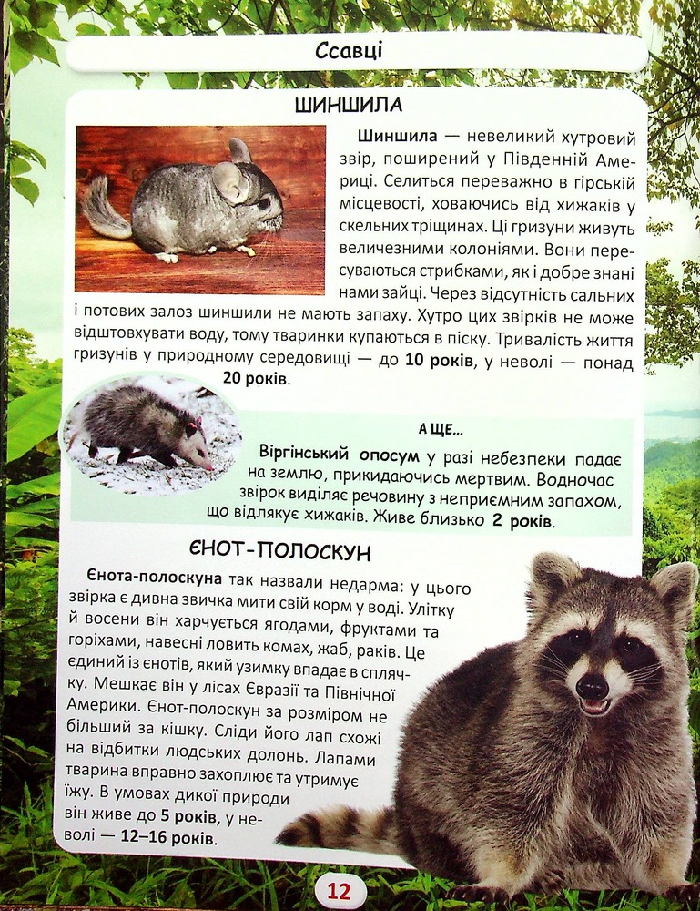 Книга Світ навколо нас. Хто скільки живе. Фото 11