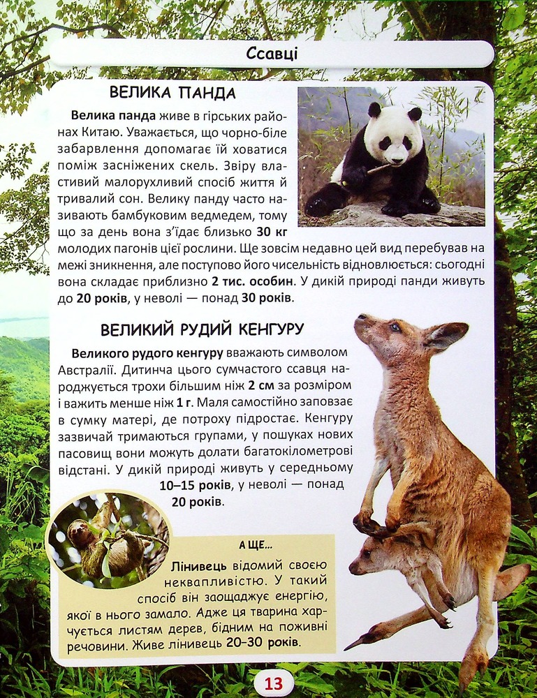 Книга Світ навколо нас. Хто скільки живе. Фото 12