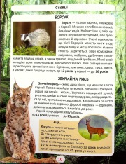 Книга Світ навколо нас. Хто скільки живе. Фото 9