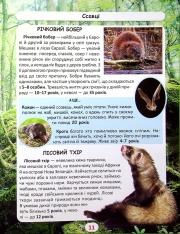 Книга Світ навколо нас. Хто скільки живе. Фото 10