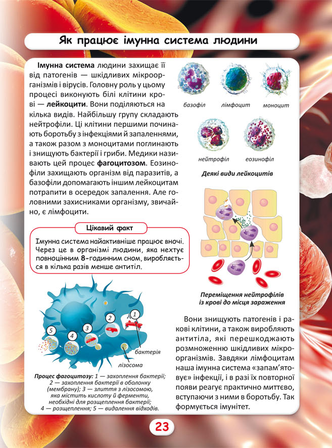 Книга Світ навколо нас. Як це працює? Як усе відбувається. Фото 9