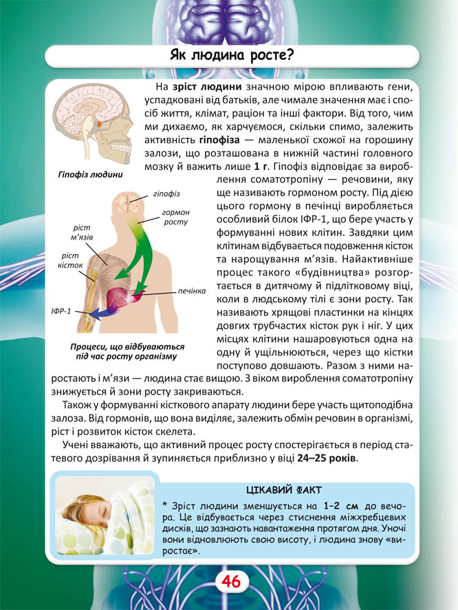 Книга Світ навколо нас. Як? Навіщо? Чому? Цікаві факти про світ і людину. Фото 16