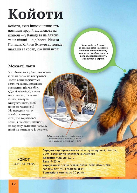 Книга Дитяча енциклопедія хижаків. Фото 5