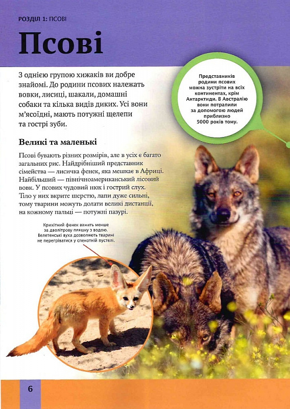 Книга Дитяча енциклопедія хижаків. Фото 11