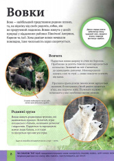 Книга Дитяча енциклопедія хижаків. Фото 9