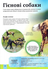 Книга Дитяча енциклопедія хижаків. Фото 3