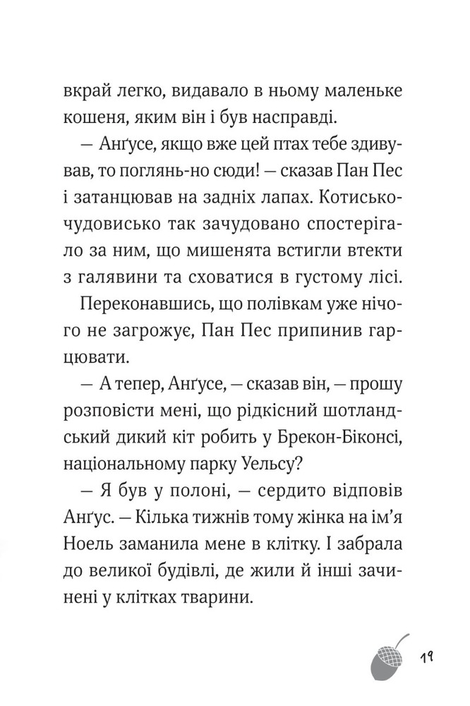 Книга Пан Пес і кіт зчиняють клопіт - Бен Фогл, Стів Коул. Фото 12