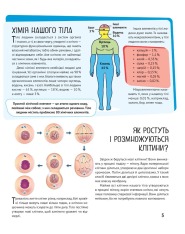 Книга Тіло людини. Фото 4