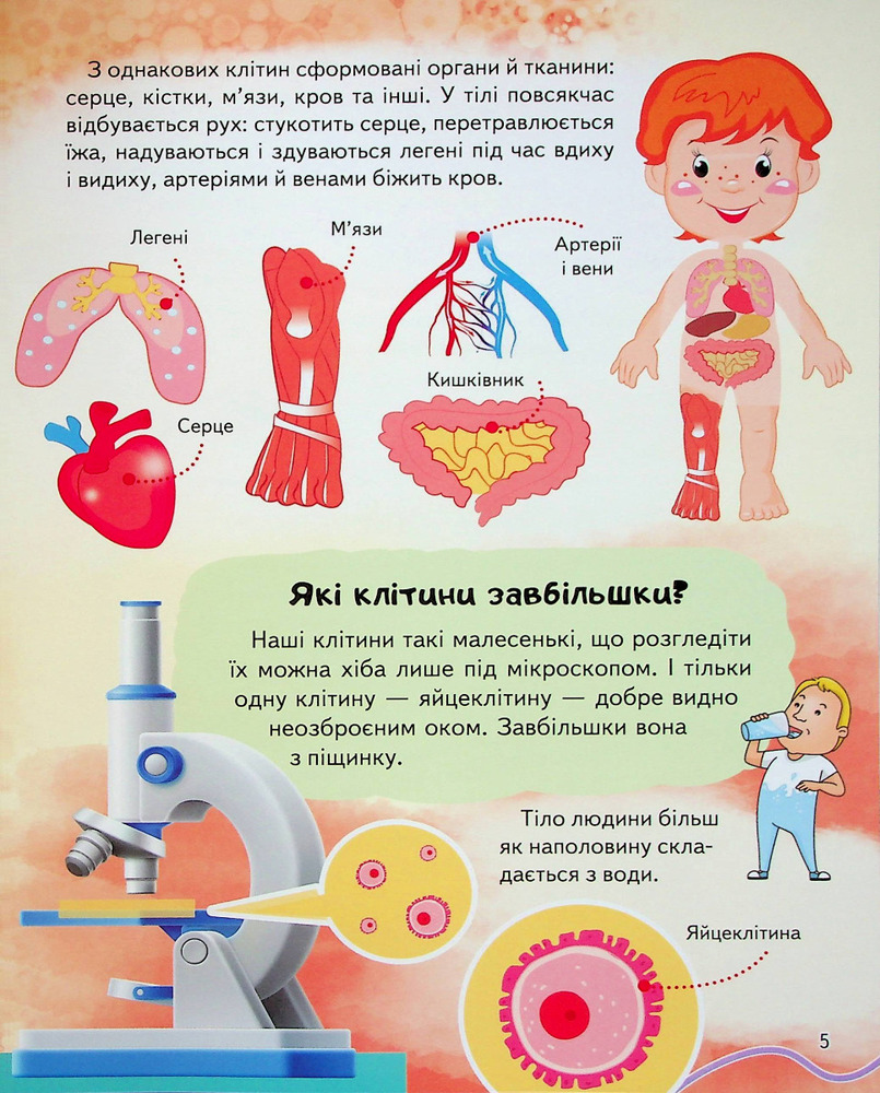 Енциклопедія Тіло людини. Унікальні факти, цікава інформація. Фото 7