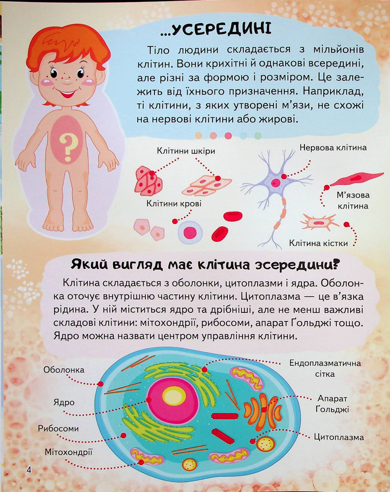 Енциклопедія Тіло людини. Унікальні факти, цікава інформація. Фото 6